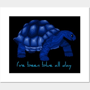 The Sad Turtle Posters and Art